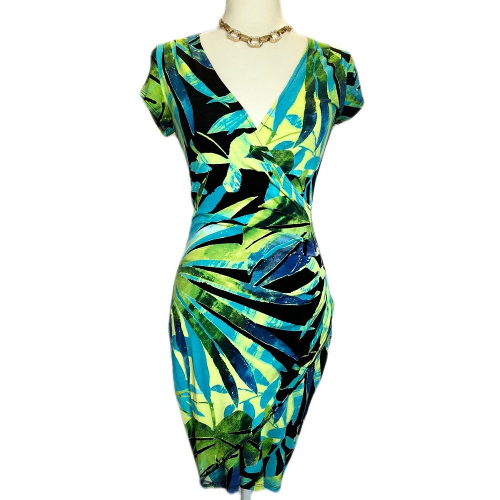 Vintage Cache Vibrant Dress